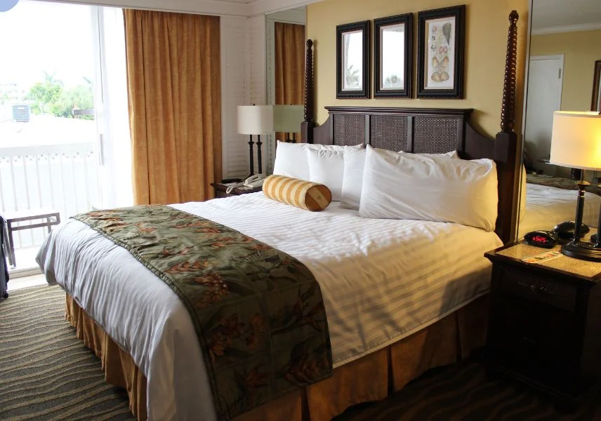 Hotel Bookings — Confirmed stays from budget hotels to luxury resorts