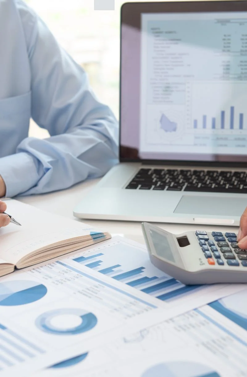 Raavi Enterprises consulting a client